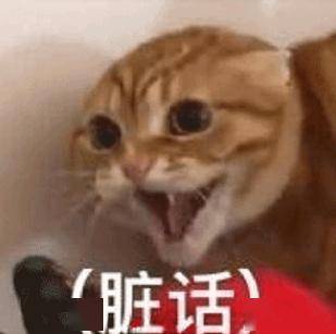 做这事的人可不要太坏了啊啊啊!