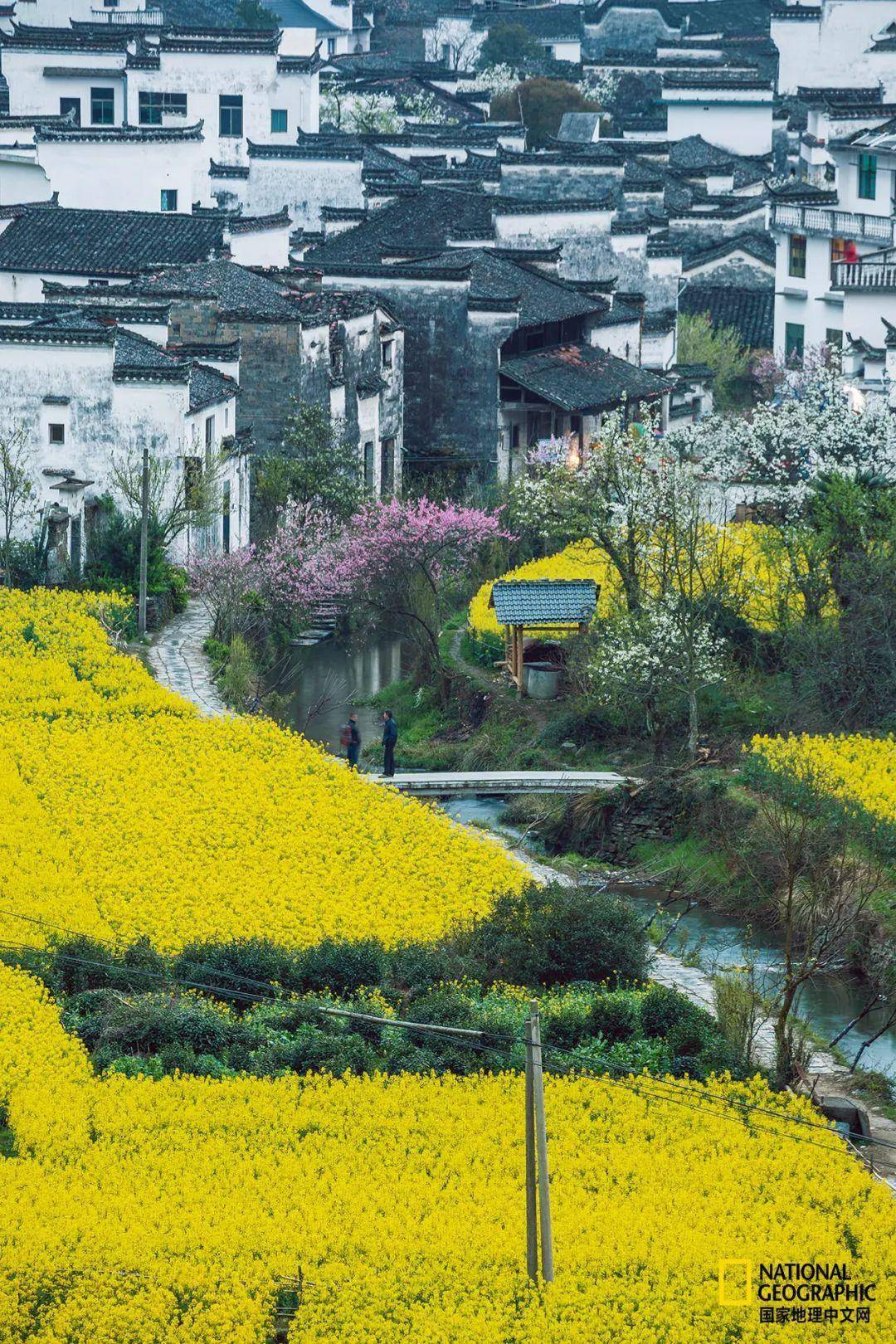 徽州归来不看春_歙县_黟县_婺源