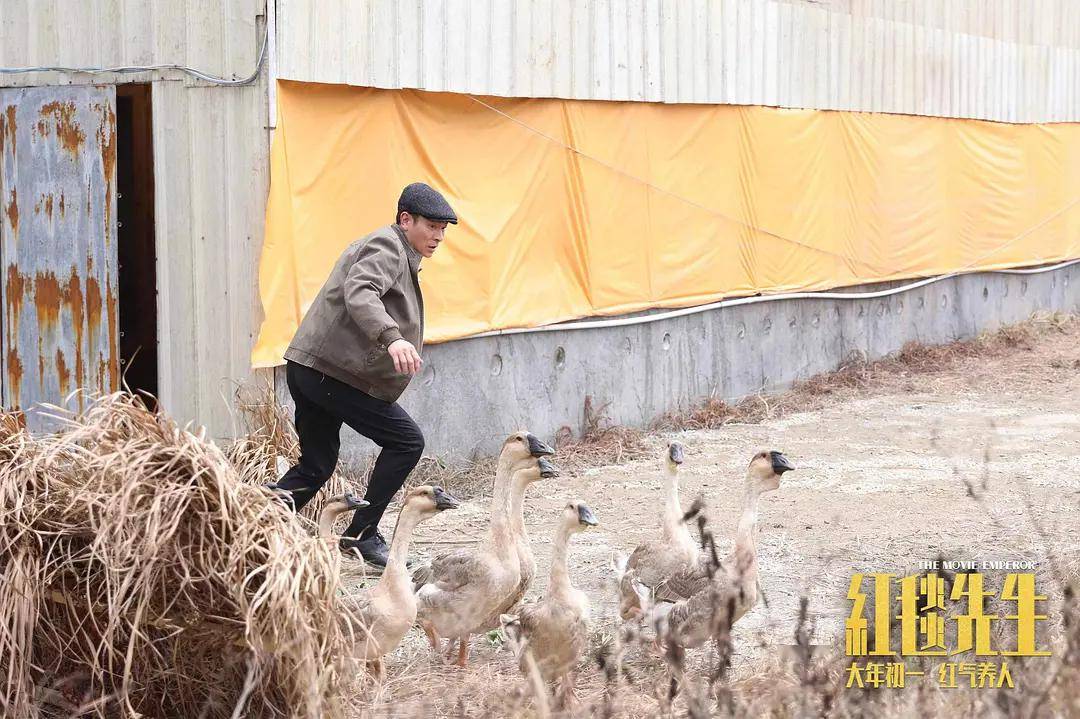 直击敏感,创死内娱,这"尺度"新片不该就此被低估_刘伟