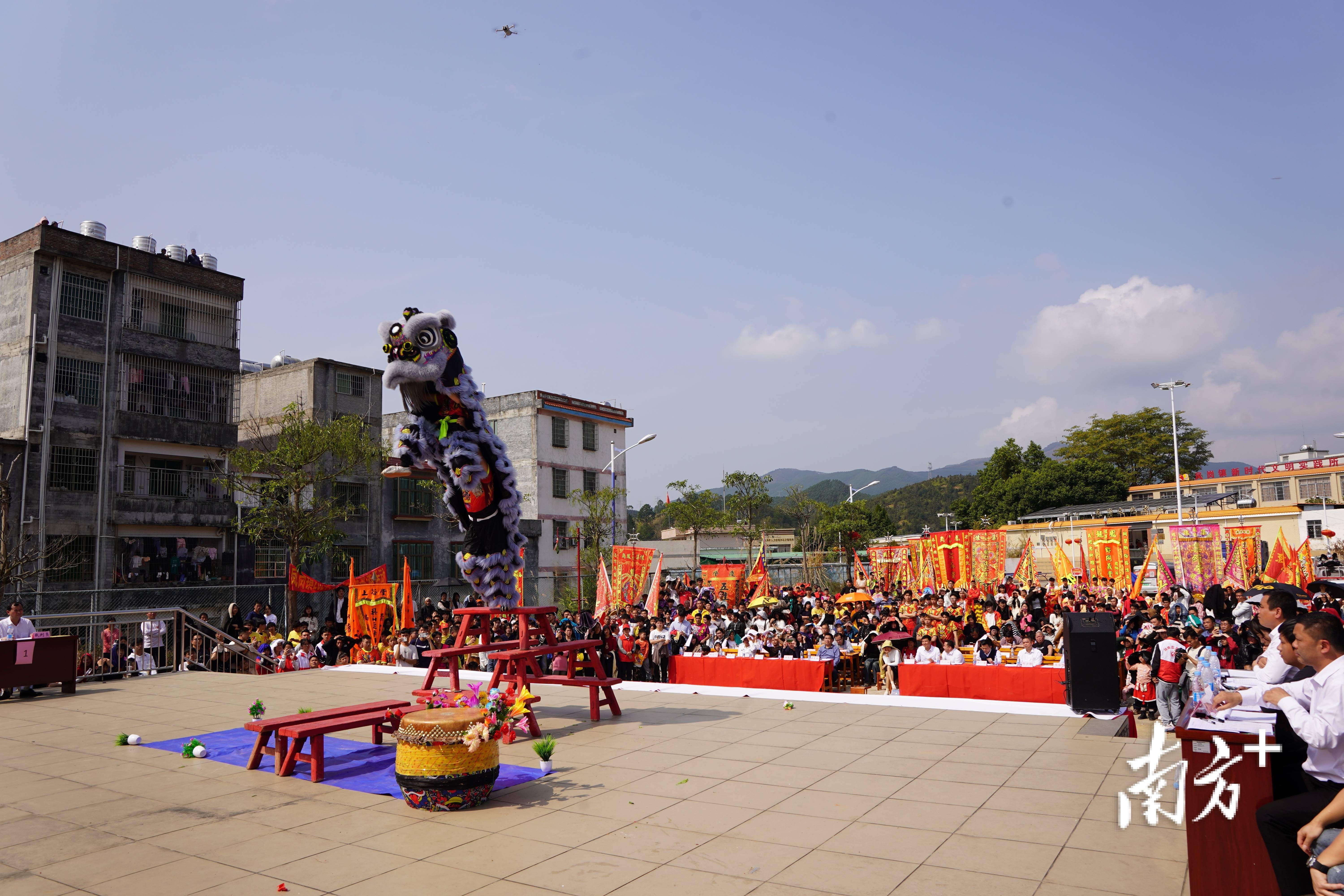 肇庆怀集凤岗龙狮巡演贺新春,乡贤赋能发展势头劲_凤岗镇_工程_醒狮