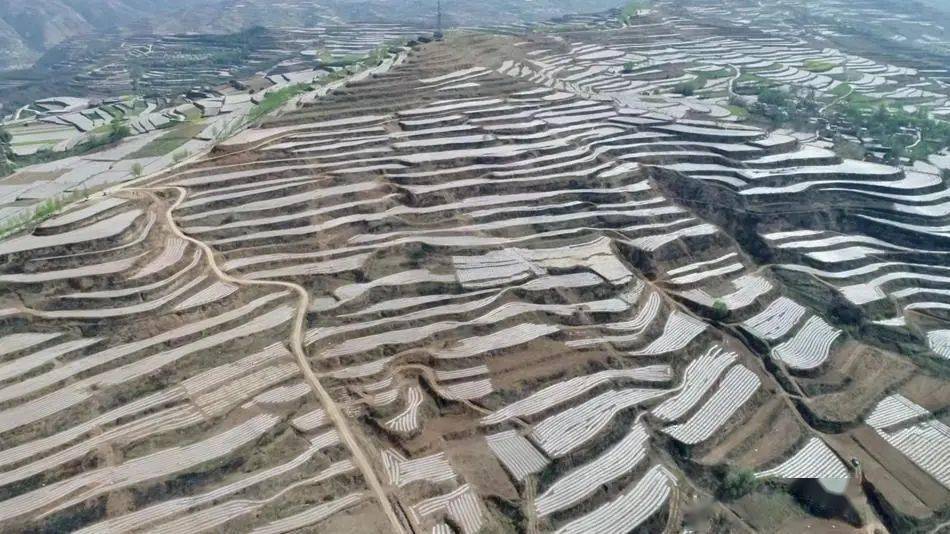 【回眸2023】武山县洛门镇:城镇建设加速度 营商环境