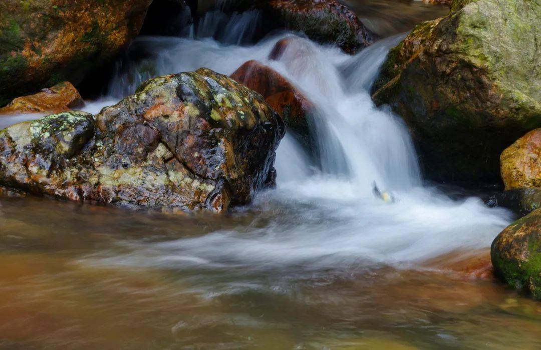 【瓯江潮漫游】仙岩奇境 山水交辉 诗意氤氲_梅雨_雷