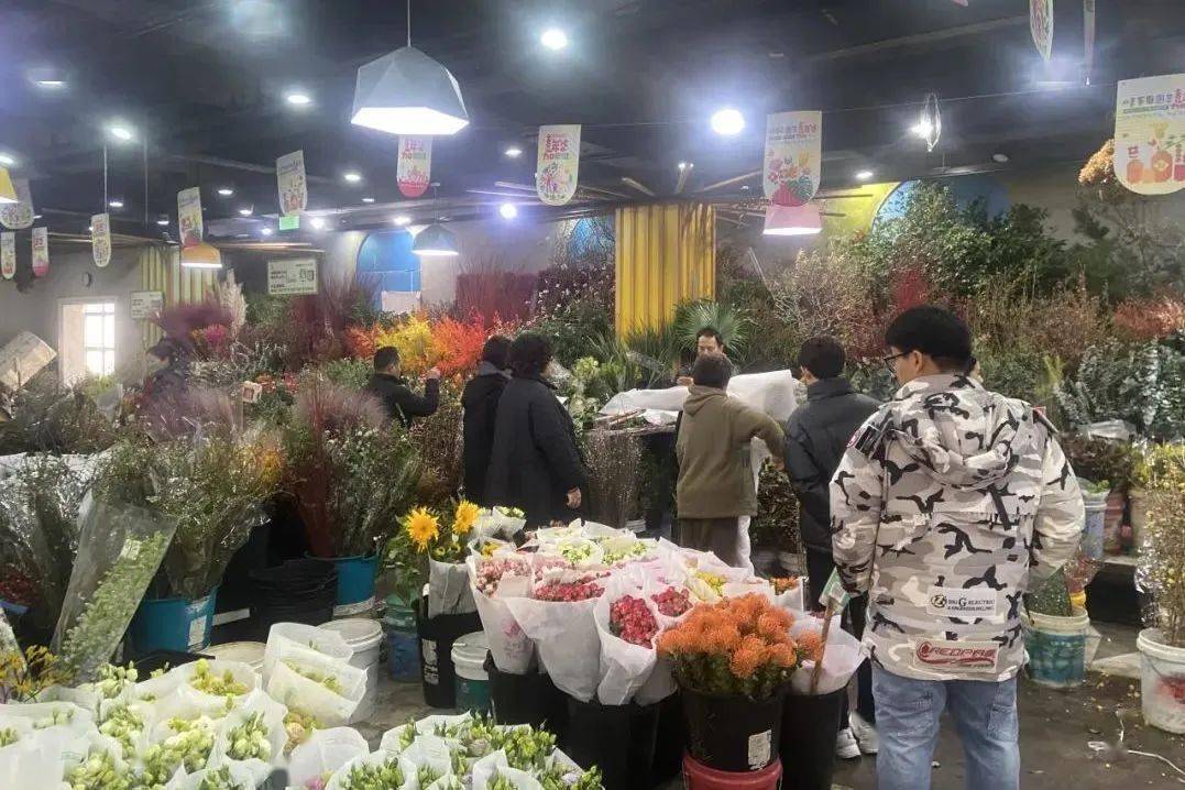 节日期间,东风国际花卉市场里的蝴蝶兰,大花蕙兰,冬青,玫瑰,郁金香