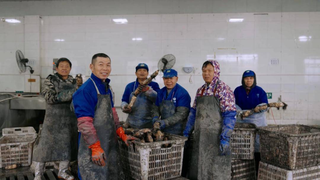 新春走基层|红色小镇里的新故事_赵聪_直播_老街