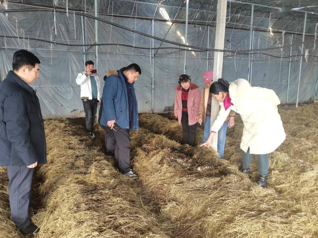 产业发展情况进行调研,对莒县高素质农民培训学员风采予以高度评价