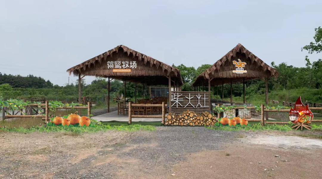 前方即将抵达--->春节遛娃好去处_衢州_草原