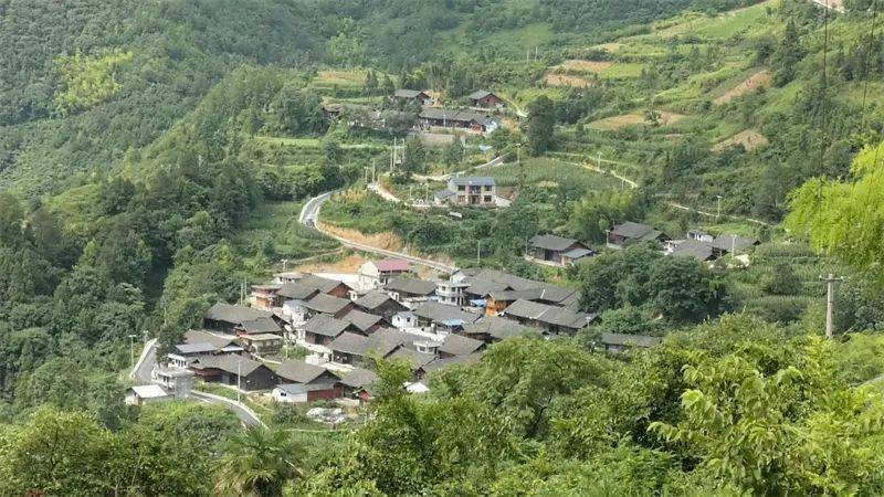 玉屏90后村干部吴佳忆的新年愿景_大湾村_工作_发展