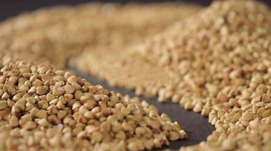 糙米最大特点就是含有胚芽,维生素和纤维素含量都很高.