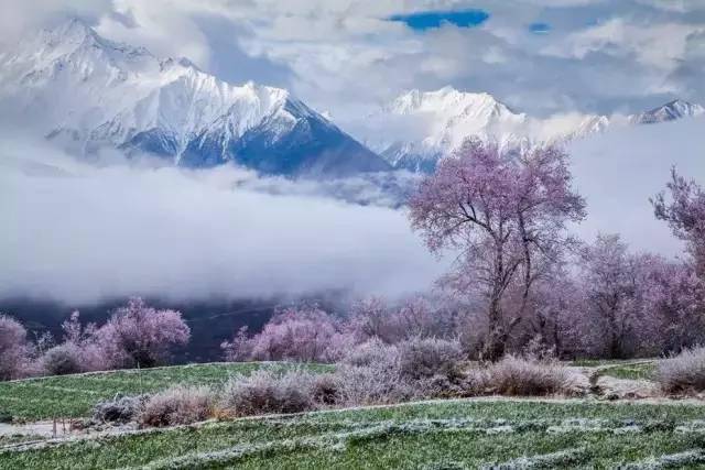 赏读 中国十大最美雪景