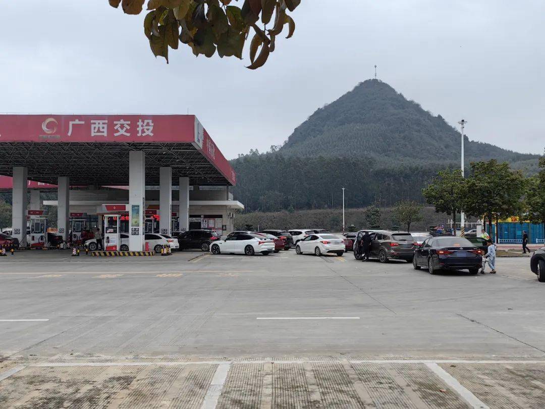 泉南高速上,好多鸡鸭在"兜风"