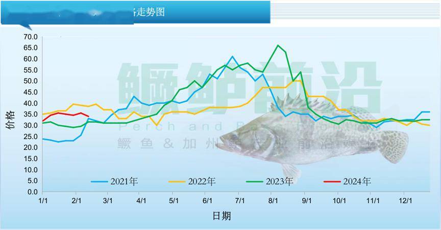 鳜鱼价格最新报价图片