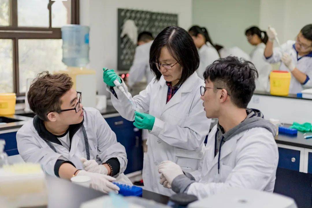 他们深耕实验教学,做学生探索自然世界的引路人_中心