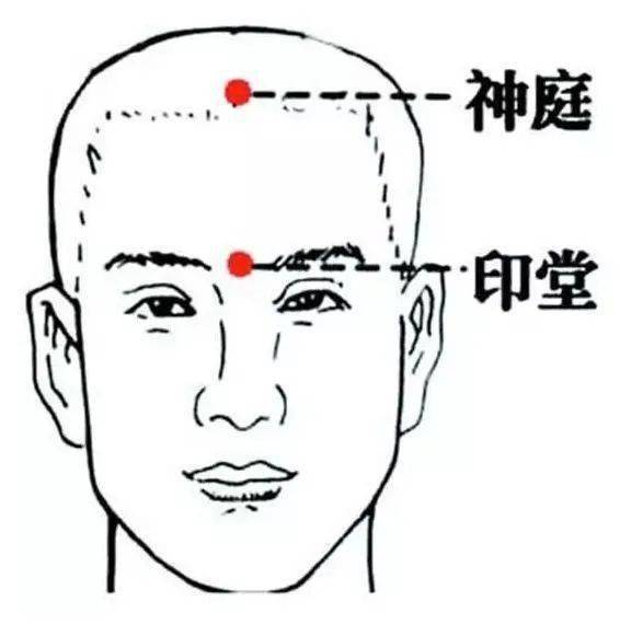 枕大神经正确位置图图片