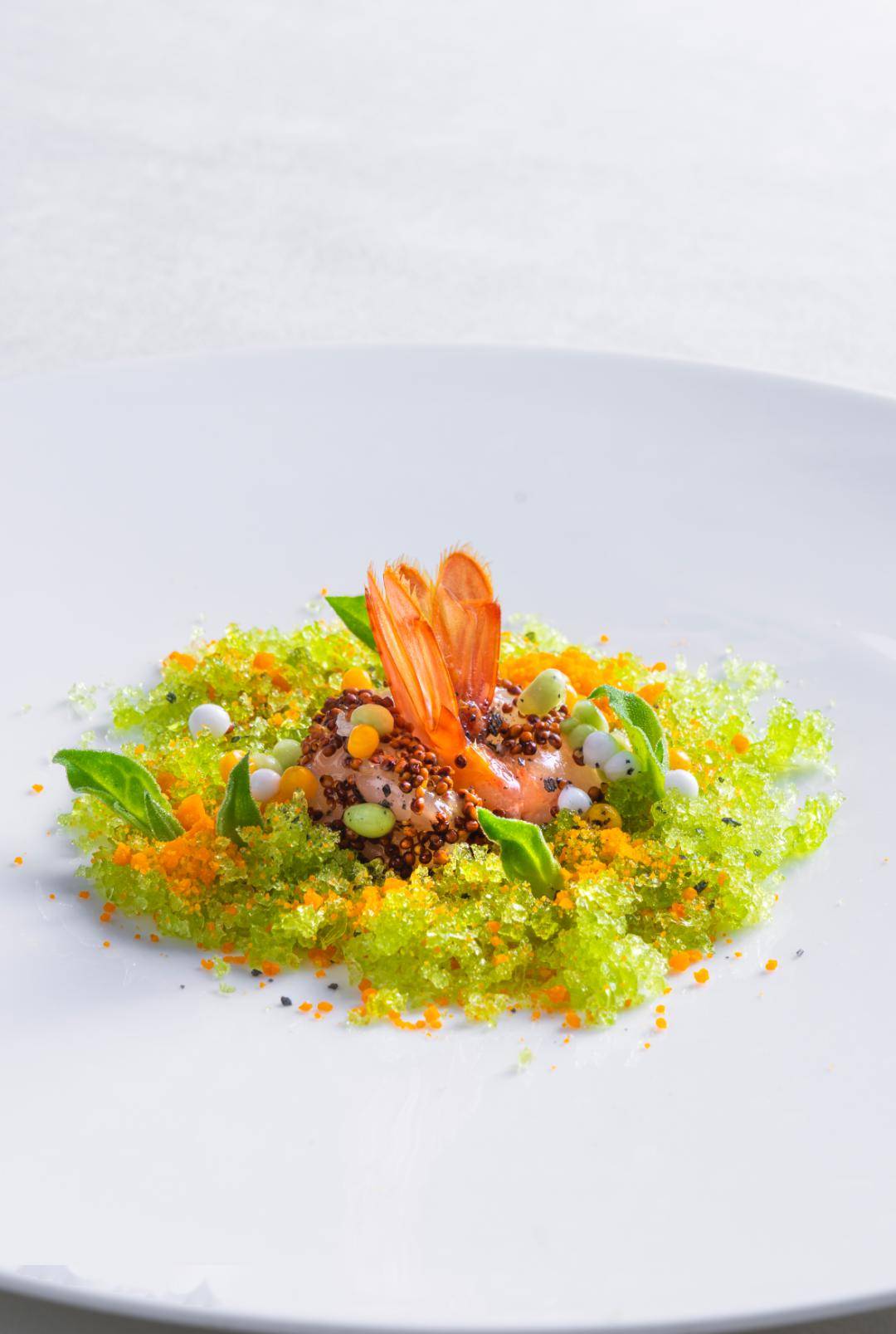 2024年元月大董意境菜作品赏析_管理_冷汤_蒲菜