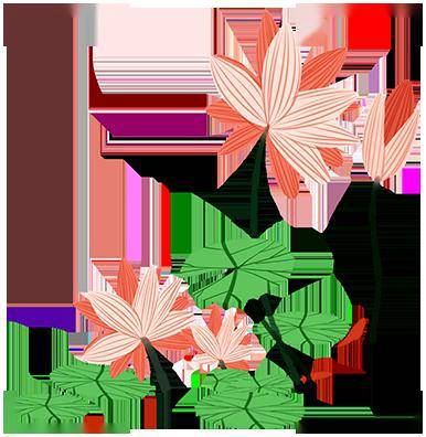 渝北御临河中有一块传奇的巨石_箱子_木船_宝贝