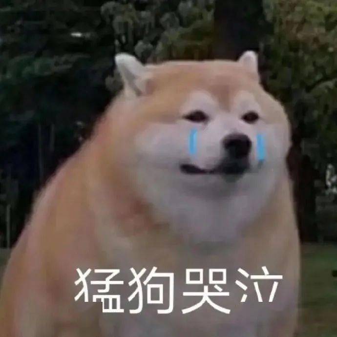 杂七乱八的表情包:我就要大叫_公众_il_爱情