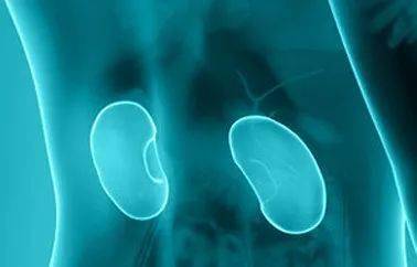 还在根据血肌酐来判断肾功能?有点过时了_水平_方法