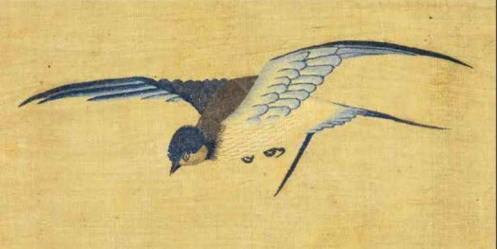 数字海图·好文共享|缂丝成画——《莲塘乳鸭图》