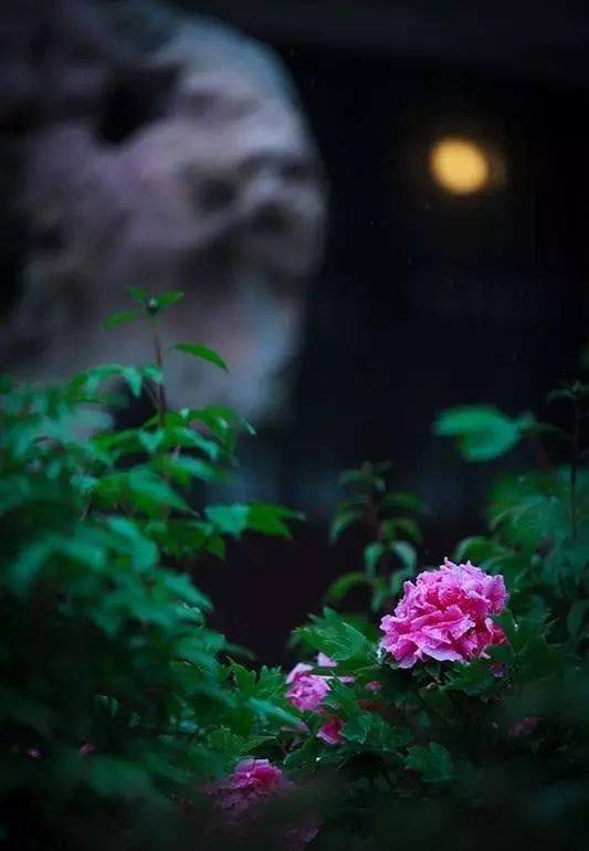 善待今生有缘人_杯子_感觉_天涯