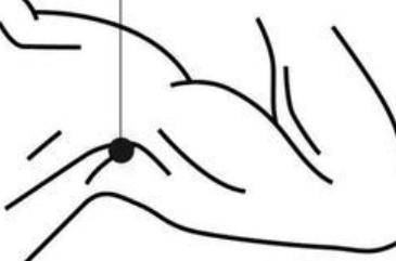 睡前做一次,扶正去