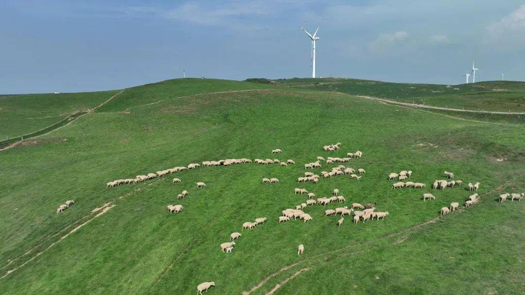 海拔在2300米至2800米之间红旗村,灼甫村,大发村交界处位于威宁县雪山