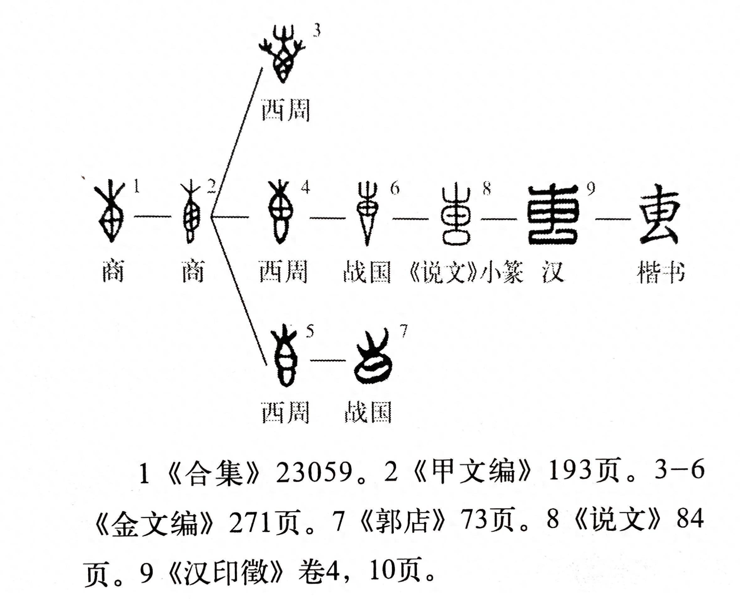 应的甲骨文图片