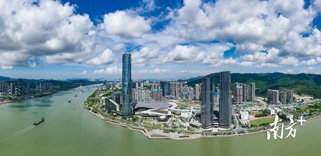 赵力:力争鹤洲新区(筹)海洋渔业产值达10亿元_海岛_建设_湾区