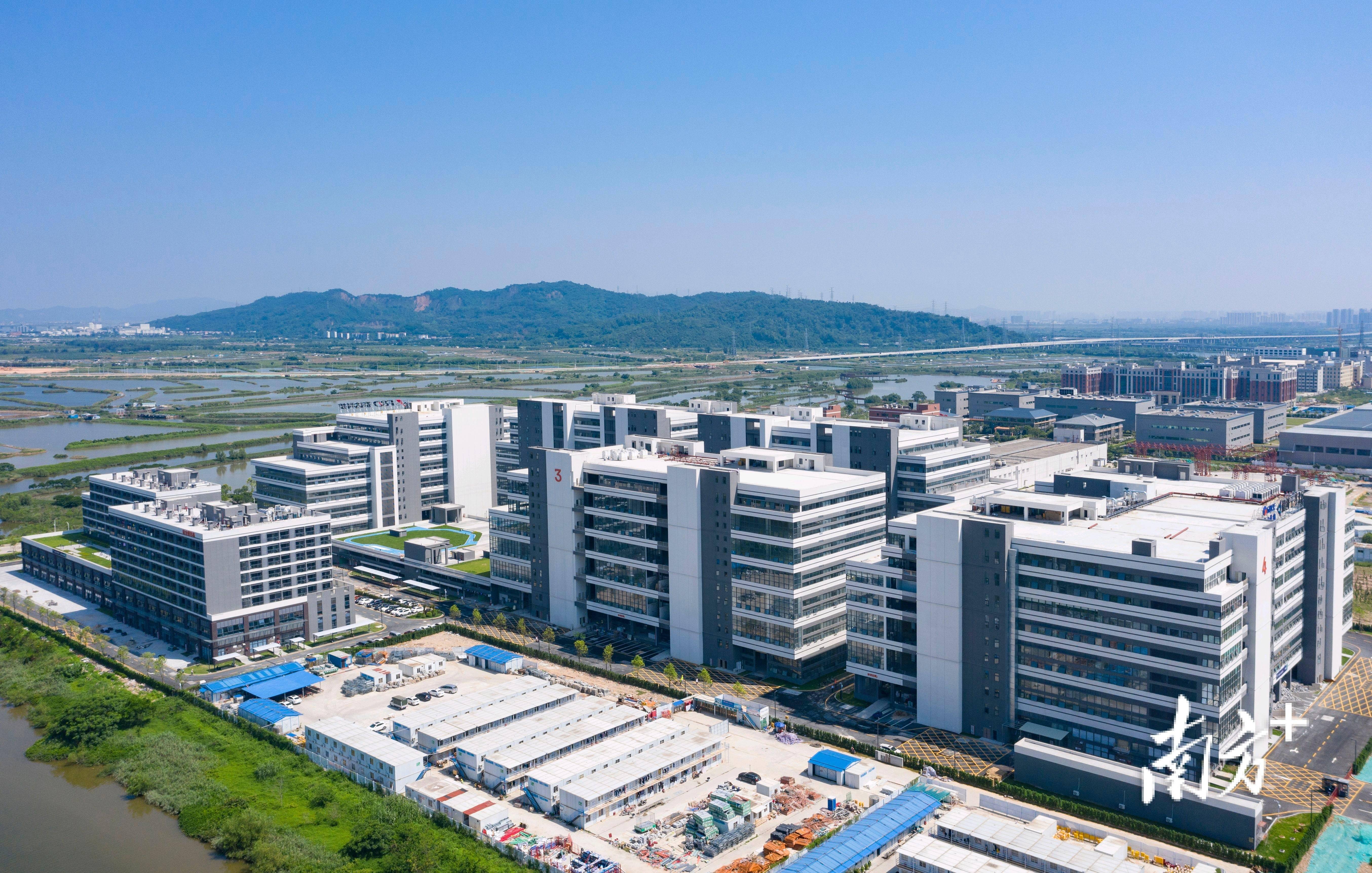 南方观察|以"新"提质,珠海快马扬鞭_发展_创新_产业