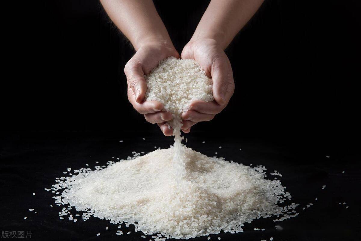 因为苏童的《米》,认识苏米,品尝苏米,爱上苏米_水韵苏_征文_评选