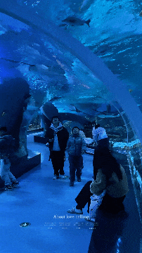 温州极地海洋世界邀你一起感受魅力海洋!_领导_报告_乐园