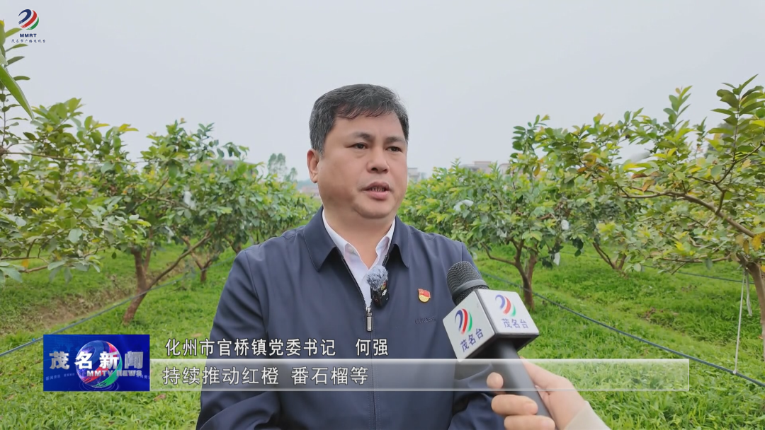 化州市官桥镇:做好"土特产"文章 以"头号工程"推进"百千万工程"_种植
