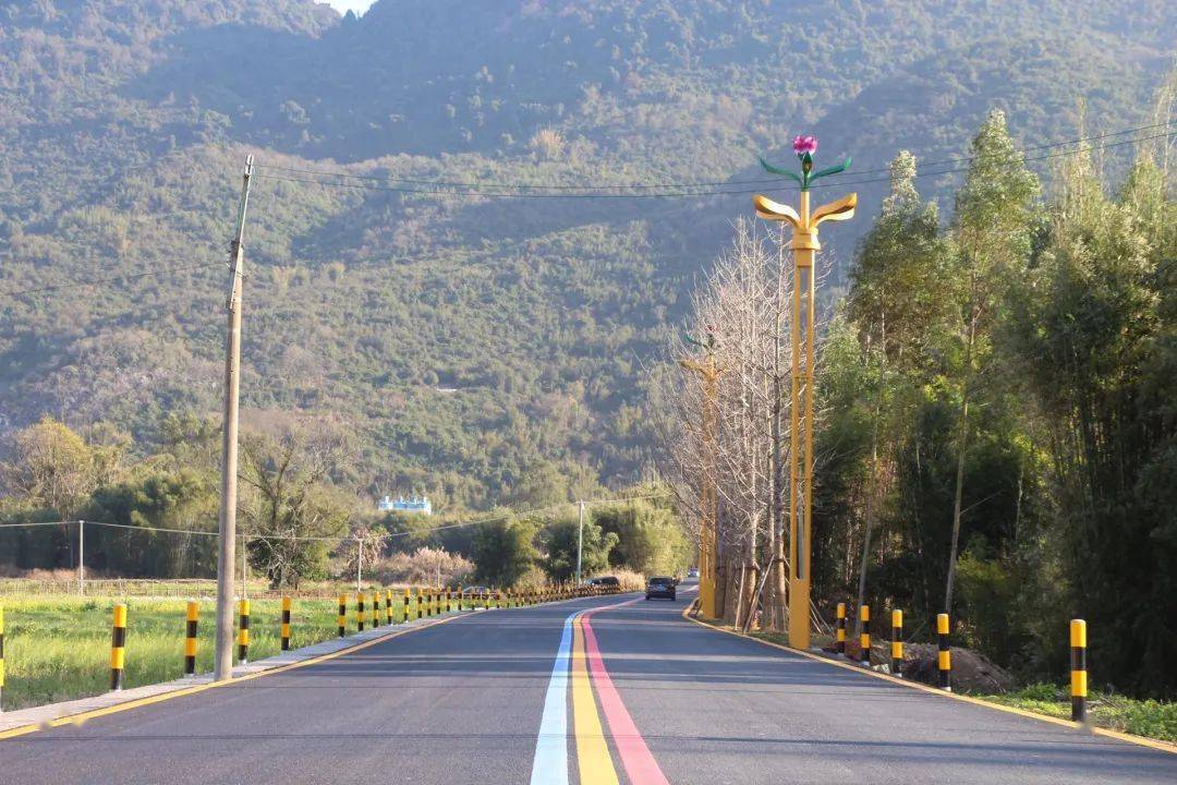 连平县陂头镇:乡村振兴展新颜 美丽风景入画