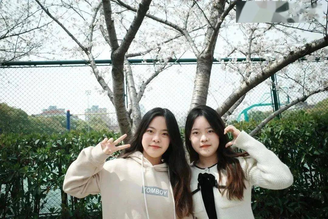 周诗璇,周诗怡,同济双胞胎姐妹优秀"神同步"!_领域_大学生_科研