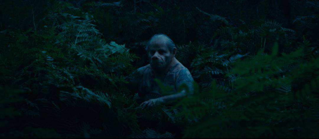 艾米_人类_感染者