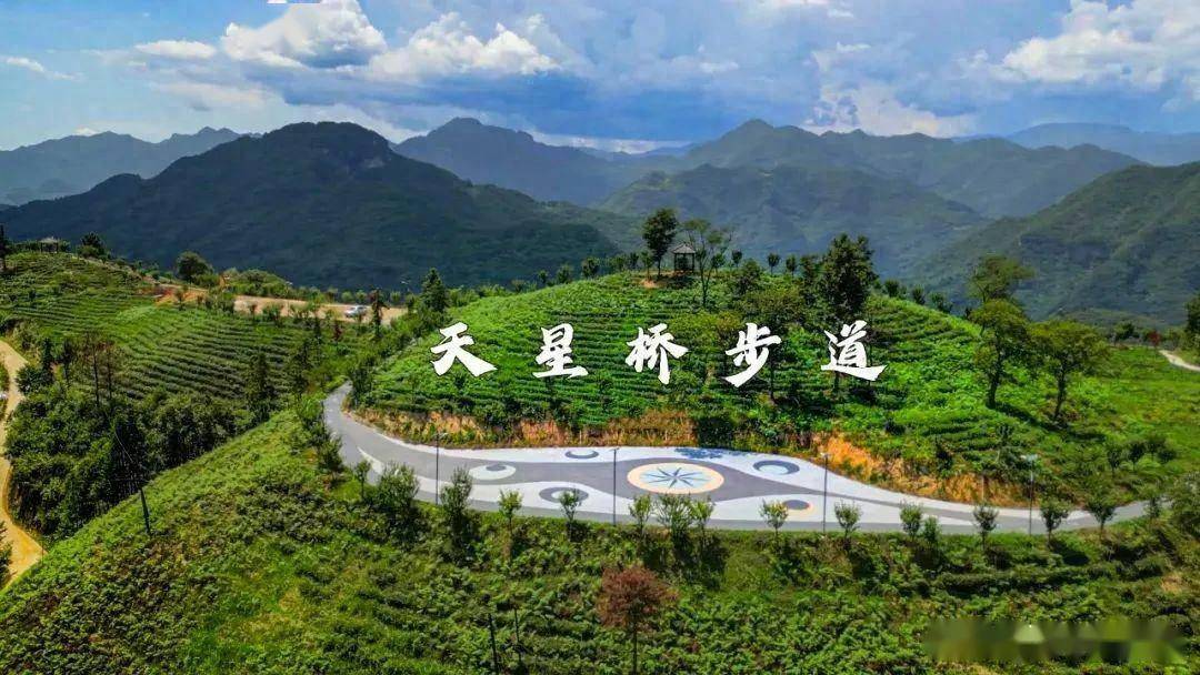 三湾村_地下_九龙