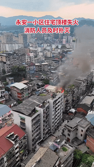 预警!永安严禁这十种行为!_防火_林区_森林