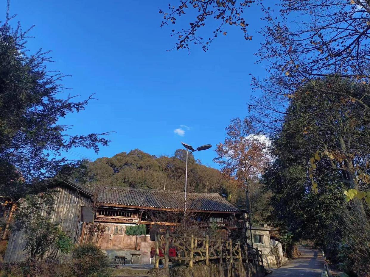 「高质量发展蹲点调研采访」湄潭县茅坪镇:山里的民宿业悄然绽放_游客