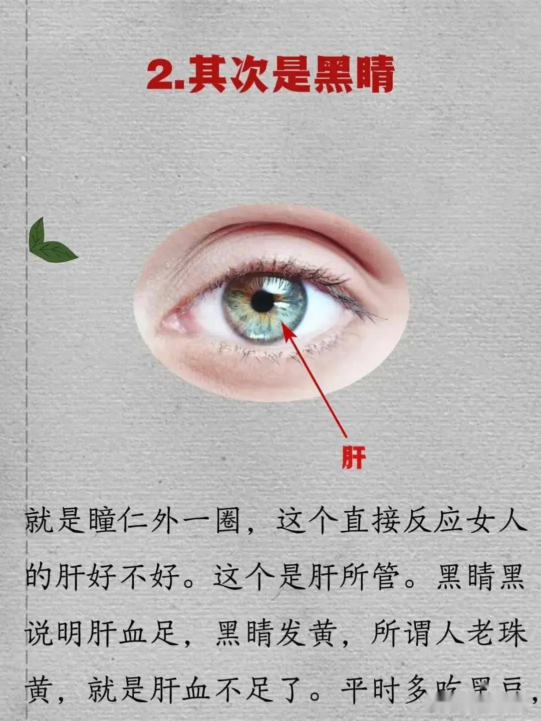 眼睛是五脏六腑的镜子,一看眼睛就知道问题在哪!