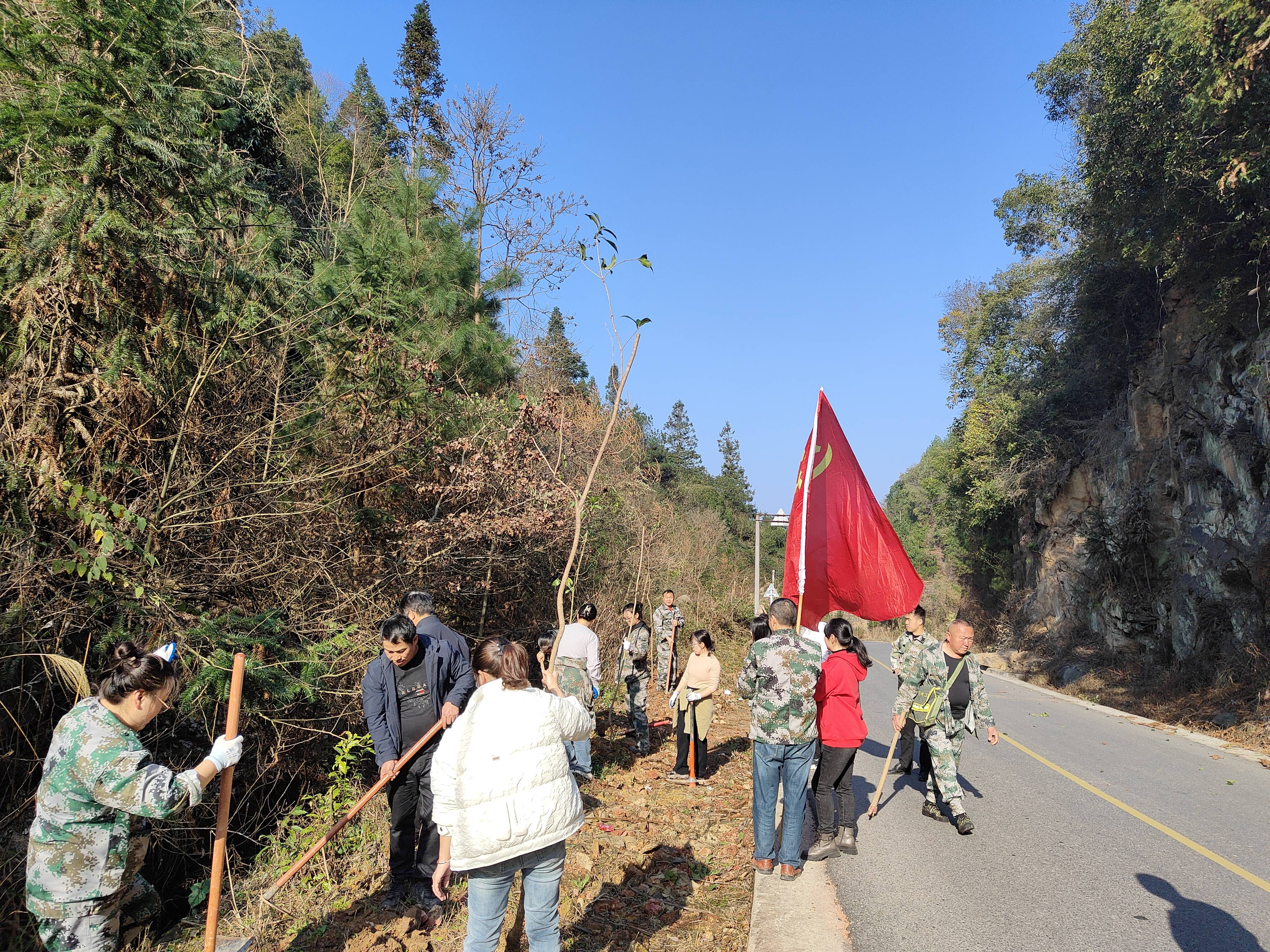 从江县庆云镇:植树添新绿 为乡村增色_绿化_生态_农村