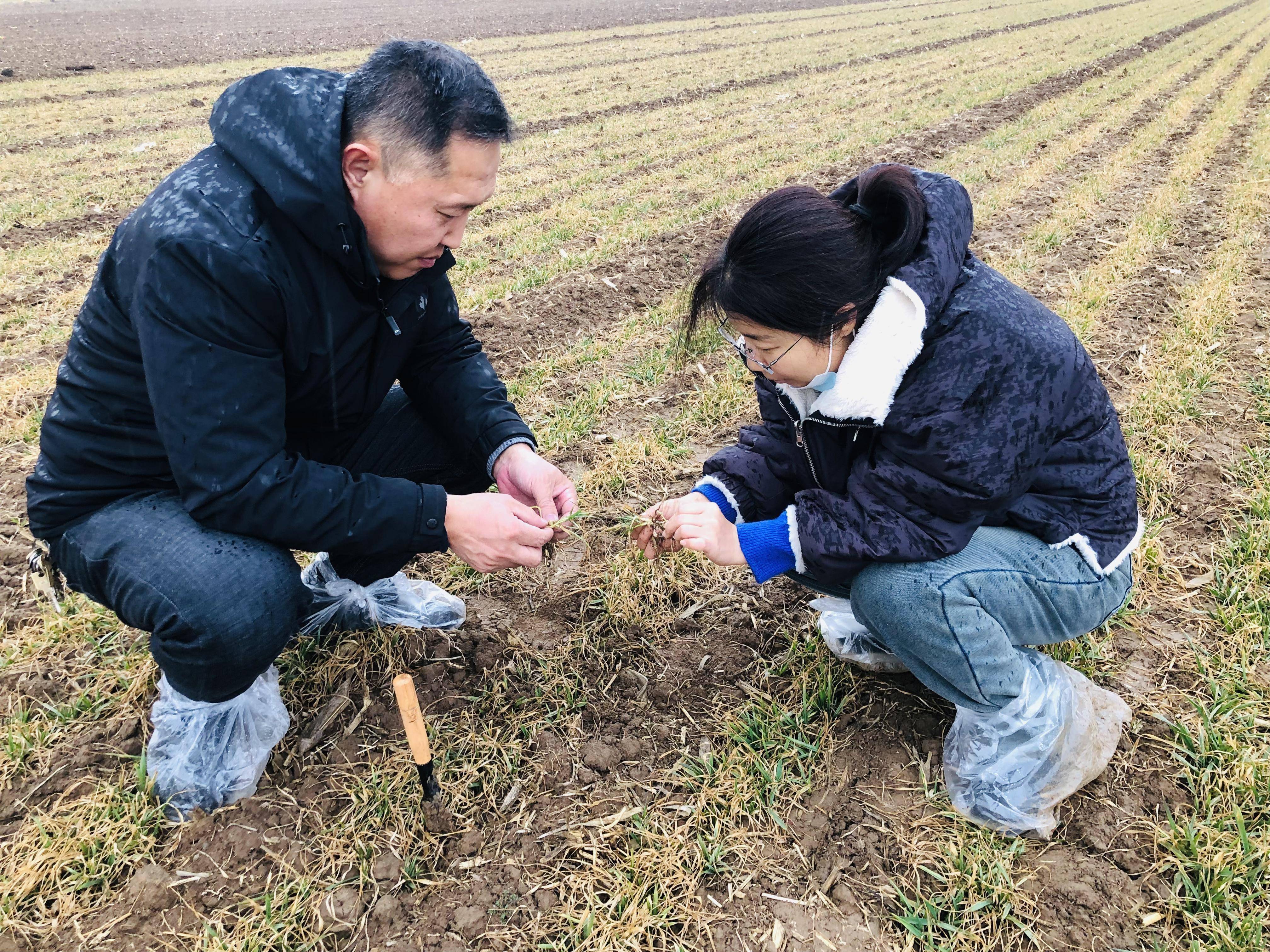 市农业农村发展服务中心副主任黄伟波说:"鉴于当前春耕备播与冷暖空气