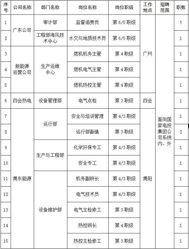 人才招聘 國家電投廣東公司_投資集團_管理_簡歷