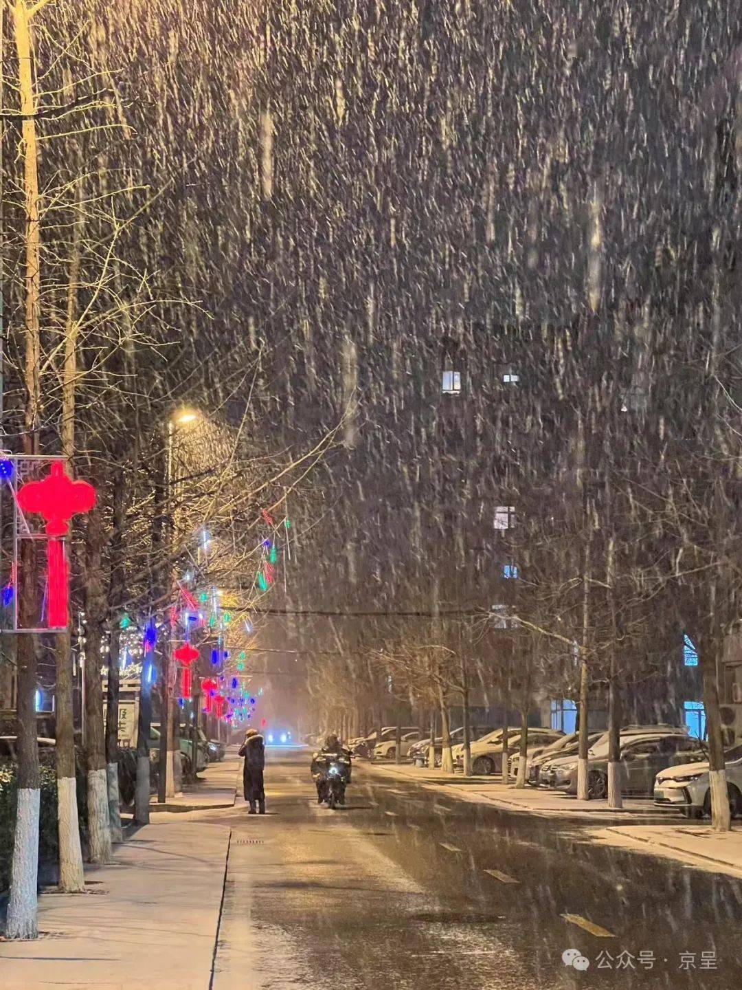 大年十一,北京大雪!【拍客有图】