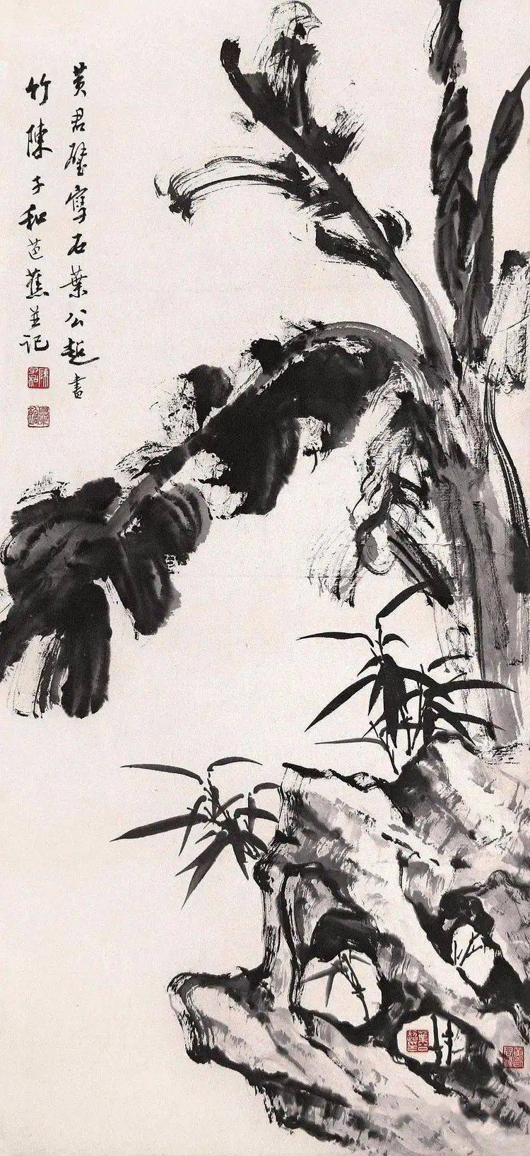 笔墨淋漓 赏芭蕉入画