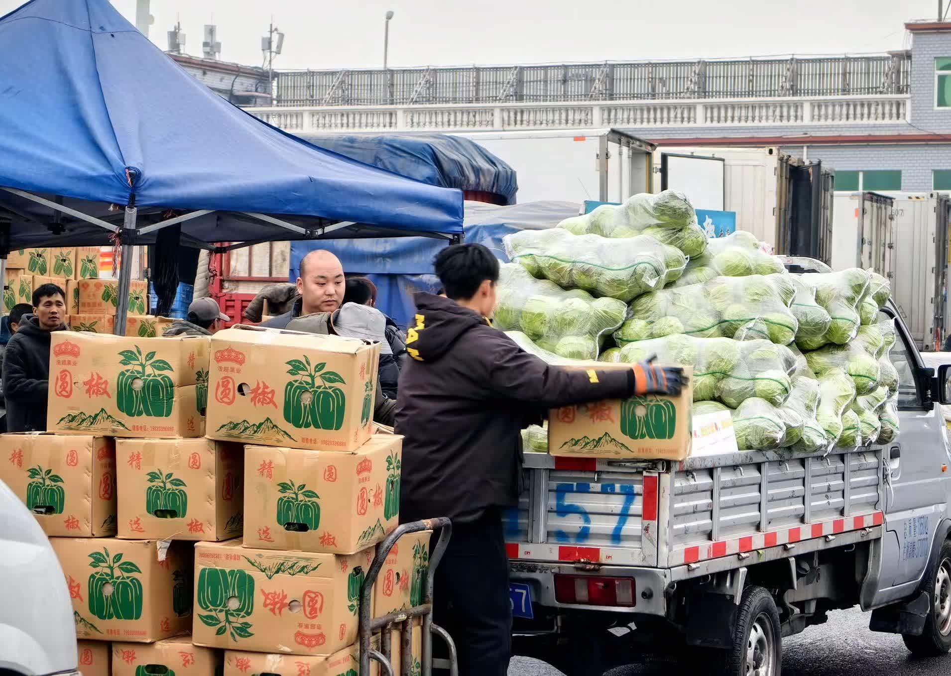 新发地市场蔬菜供应迅速回升,雪后菜篮子有保障