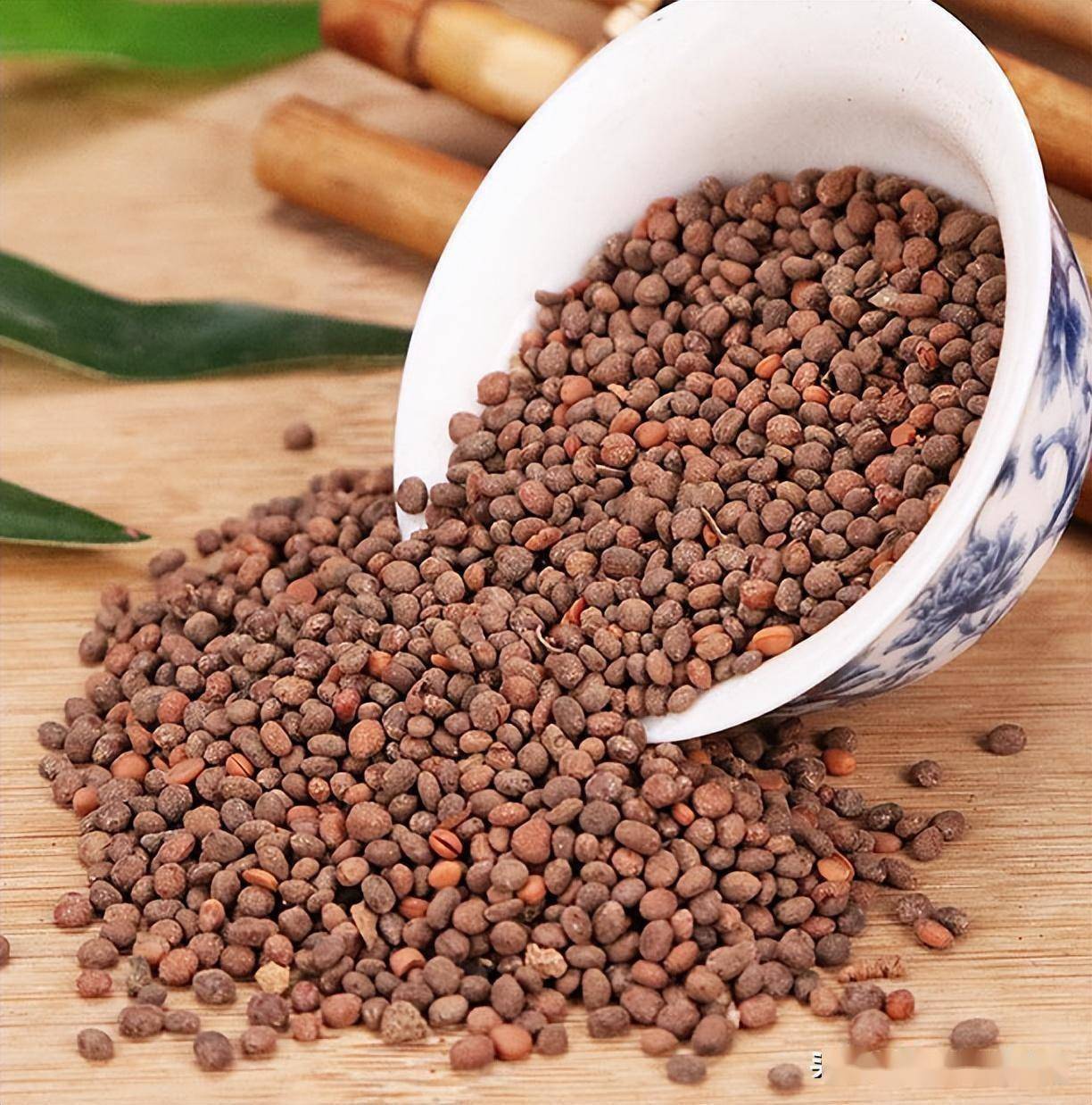 凤仙花的种子其实是抗癌良药,软坚散结,可用于多种恶性肿瘤_急性子