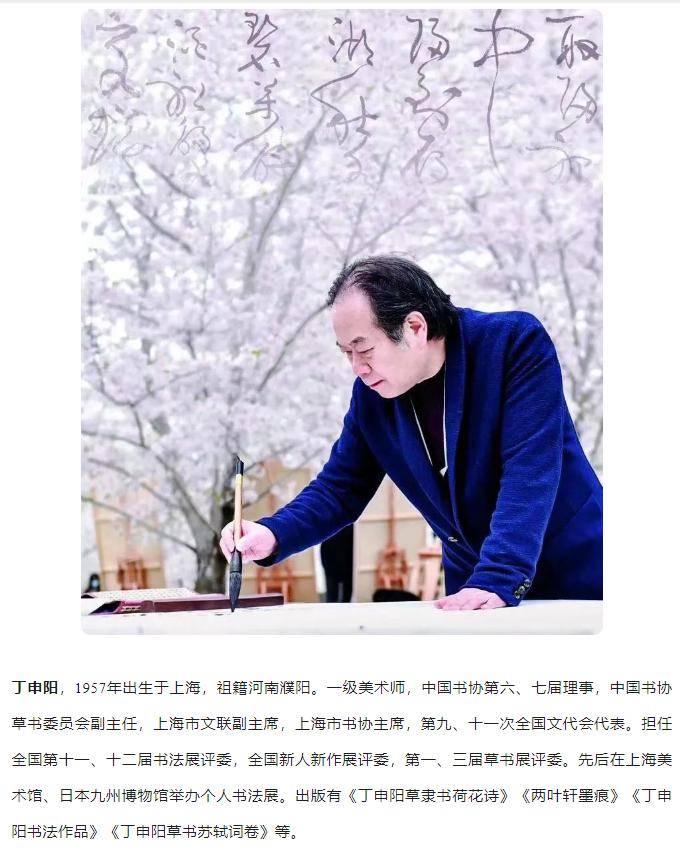 丁申阳获评2023年度上海市优秀志愿者_视频_全屏_书画