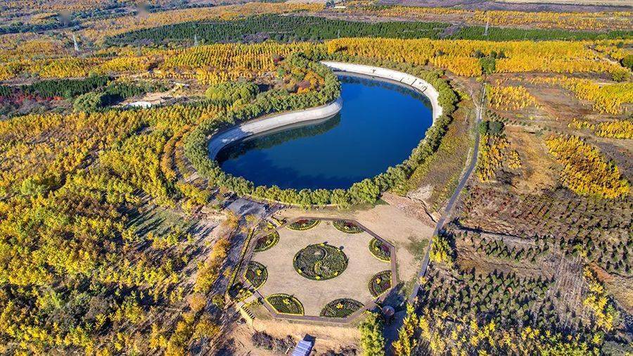 沙河:栾卸村经验是如何写进中央一号文件的?_发展_村民_集体经济