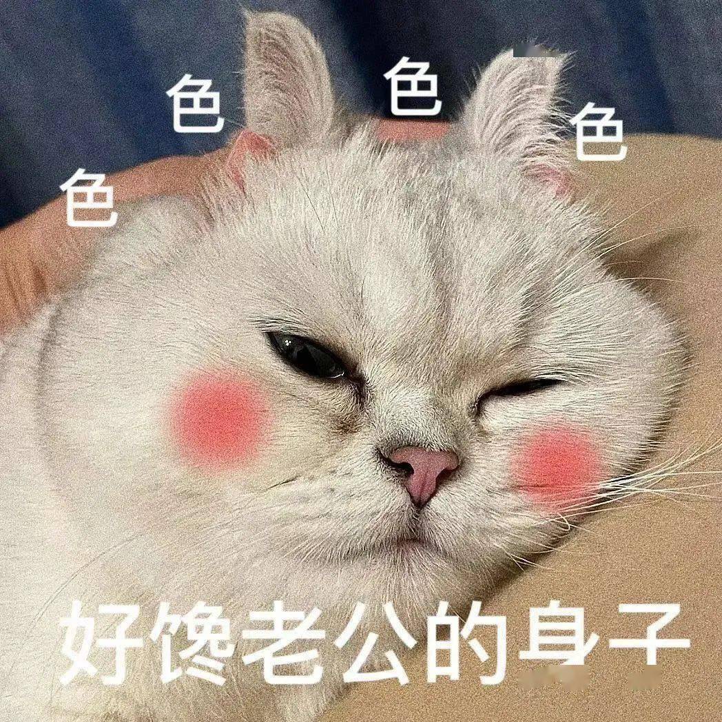 微信热门表情包:你说话好伤人_公众_熊猫头_生活