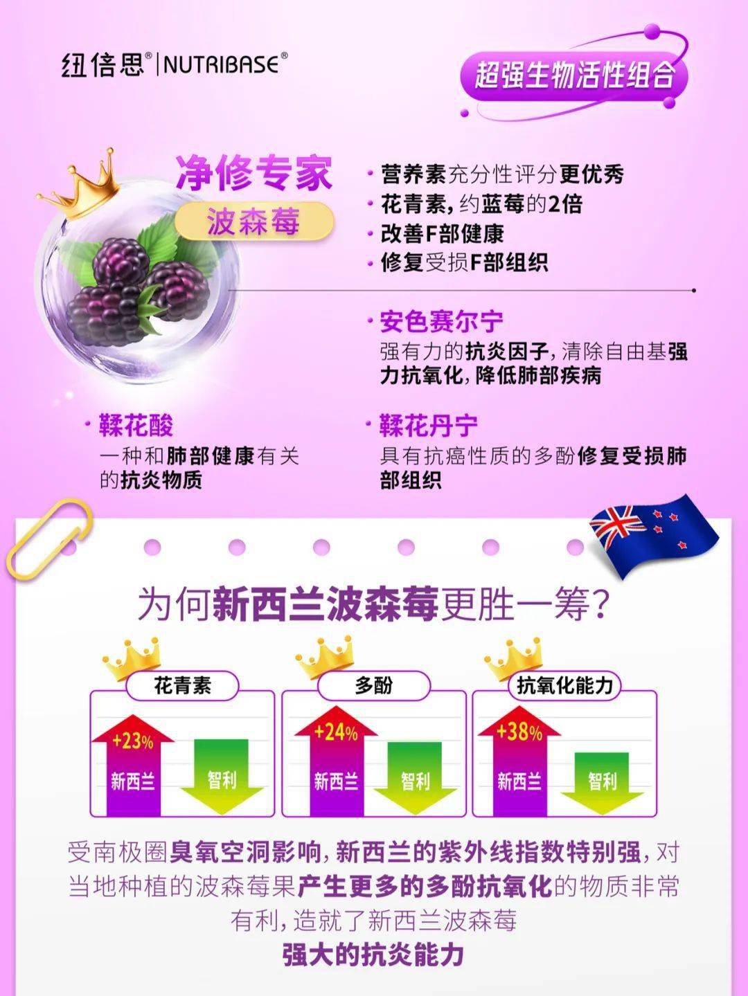 维生素a,β- 胡萝卜素,烟酸(维生素b3,铜,锌,花青素,多酚,鞣花单宁