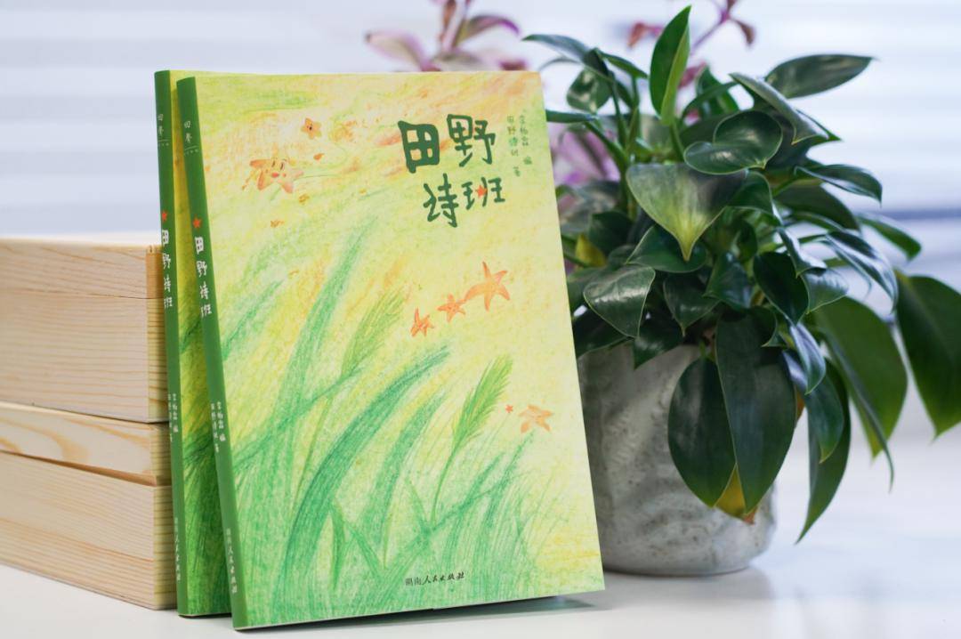 击中心间的诗意,央视春晚舞台"小诗人"创作的《田野诗班》出版_李柏霖